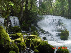 Pearsoney Falls, near Prospect